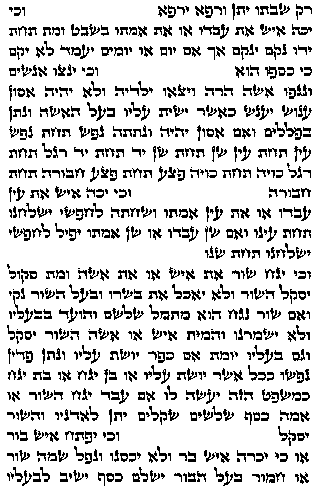 Page from the Torah in Hebrew.